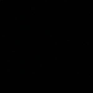 Meet your Posher, Samuel